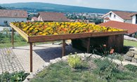Ökodach-Carport